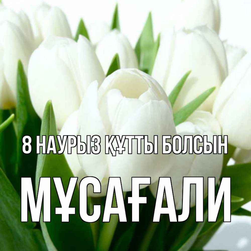 Күн сайын ашық хат с именем, Мұсағали 8 наурыз құтты болсын цветы Онлайн тегін жүктеп алу тілектері бар керемет карта 