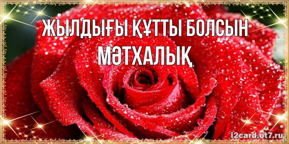 Күн сайын ашық хат с именем, МӘТХАЛЫҚ Жылдығы құтты болсын роса и роза. открытка с красивой розой Онлайн тегін жүктеп алу тілектері бар керемет карта 
