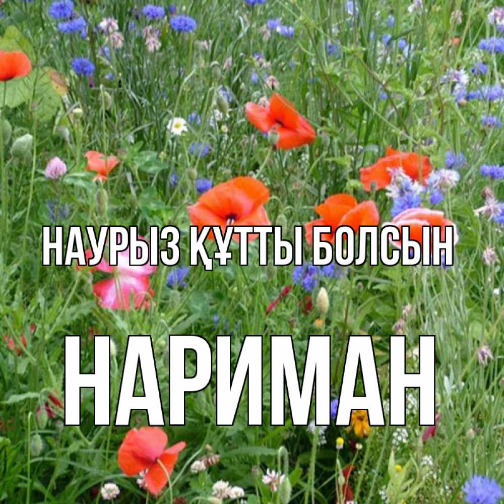 Күн сайын ашық хат с именем, НАРИМАН Наурыз құтты болсын наурыз  4 Онлайн тегін жүктеп алу тілектері бар керемет карта 
