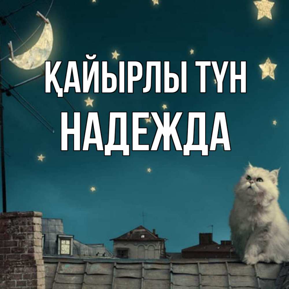 Күн сайын ашық хат с именем, Надежда Қайырлы түн белый кот сидит на крыше Онлайн тегін жүктеп алу тілектері бар керемет карта 