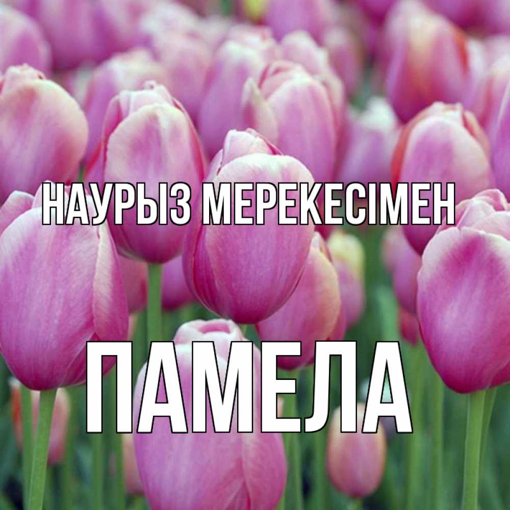Күн сайын ашық хат с именем, Памела Наурыз мерекесімен праздник весны наурыз 69 Онлайн тегін жүктеп алу тілектері бар керемет карта 
