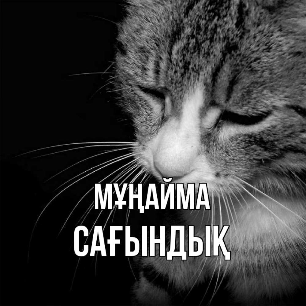 Күн сайын ашық хат с именем, САҒЫНДЫҚ Мұңайма грустный котик Онлайн тегін жүктеп алу тілектері бар керемет карта 