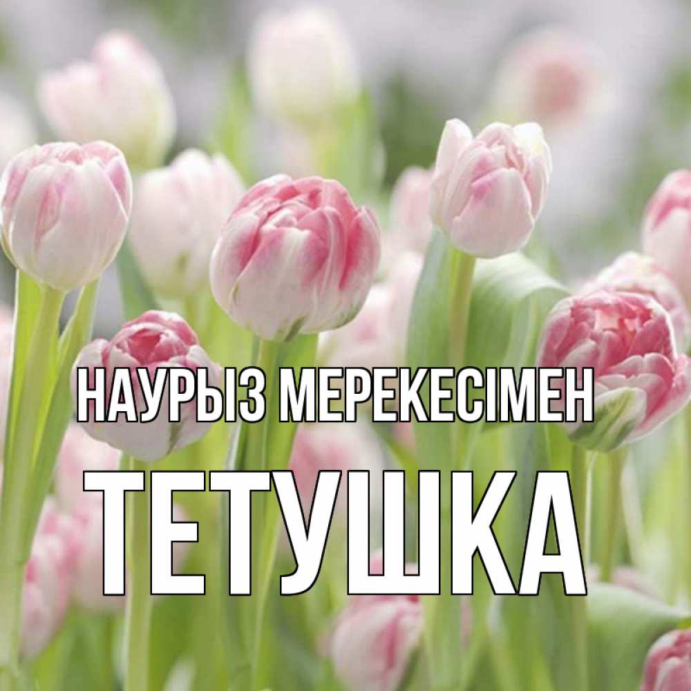 Күн сайын ашық хат с именем, Тетушка Наурыз мерекесімен цветы Онлайн тегін жүктеп алу тілектері бар керемет карта 