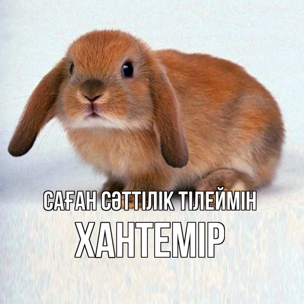 Күн сайын ашық хат с именем, ХАНТЕМІР Саған сәттілік тілеймін вставить текст в открытку по выбору Онлайн тегін жүктеп алу тілектері бар керемет карта 