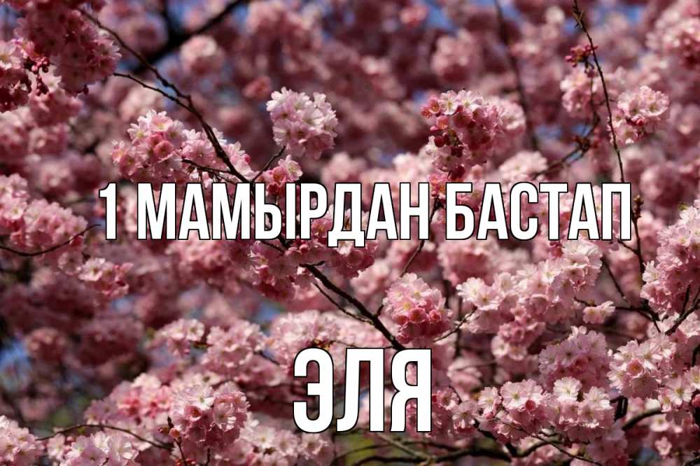 Күн сайын ашық хат с именем, Эля 1 мамырдан бастап С 1 мая Онлайн тегін жүктеп алу тілектері бар керемет карта 