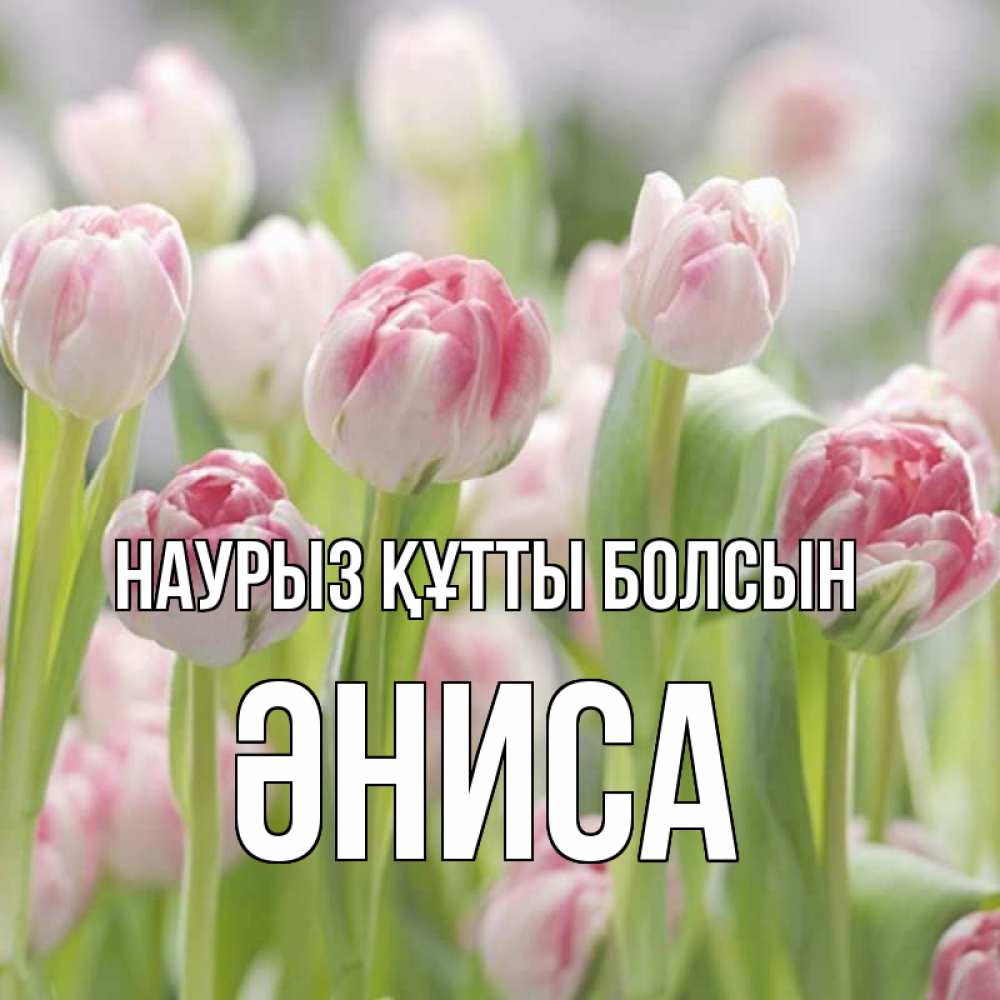 Күн сайын ашық хат с именем, ӘНИСА Наурыз құтты болсын цветы Онлайн тегін жүктеп алу тілектері бар керемет карта 