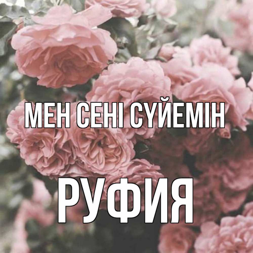 Күн сайын ашық хат с именем, РУФИЯ Мен сені сүйемін розы 3 Онлайн тегін жүктеп алу тілектері бар керемет карта 