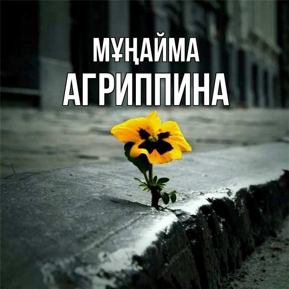 Күн сайын ашық хат с именем, Агриппина Мұңайма не сдавайся Онлайн тегін жүктеп алу тілектері бар керемет карта 