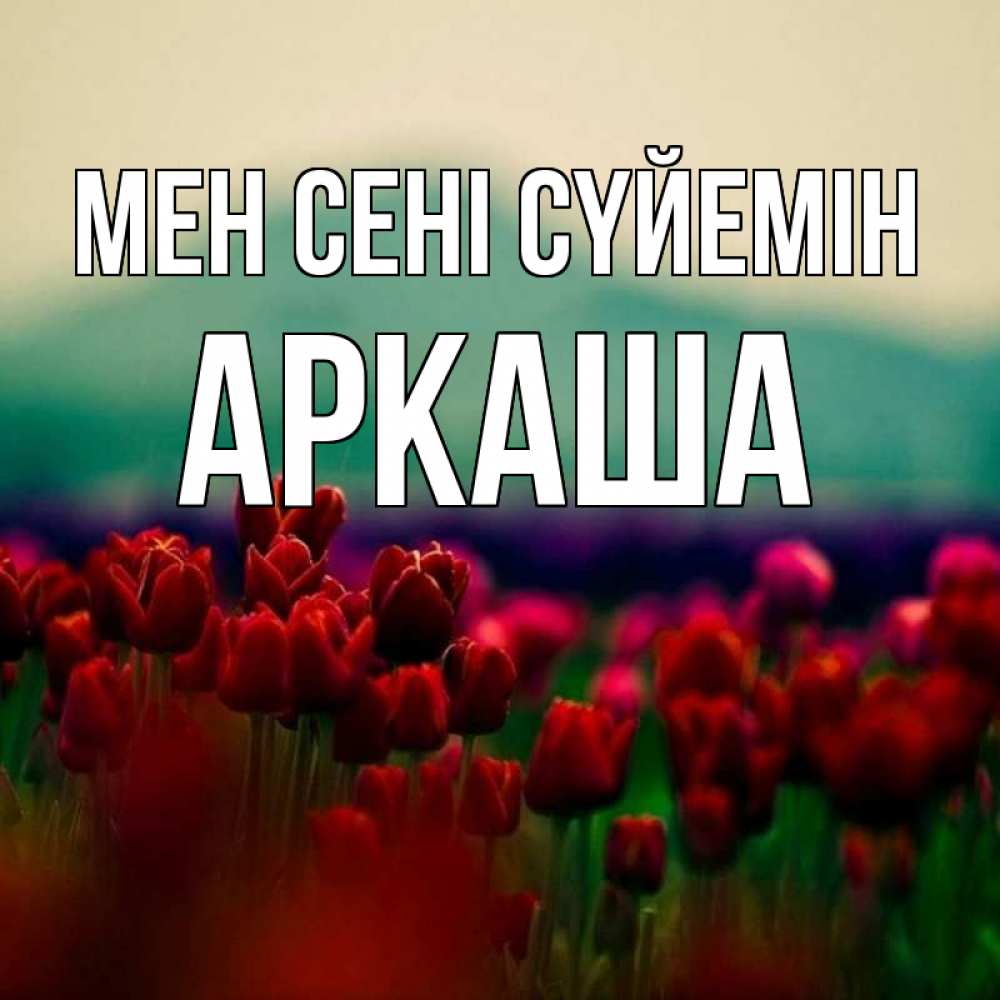 Күн сайын ашық хат с именем, Аркаша Мен сені сүйемін тюльпаны 4 Онлайн тегін жүктеп алу тілектері бар керемет карта 