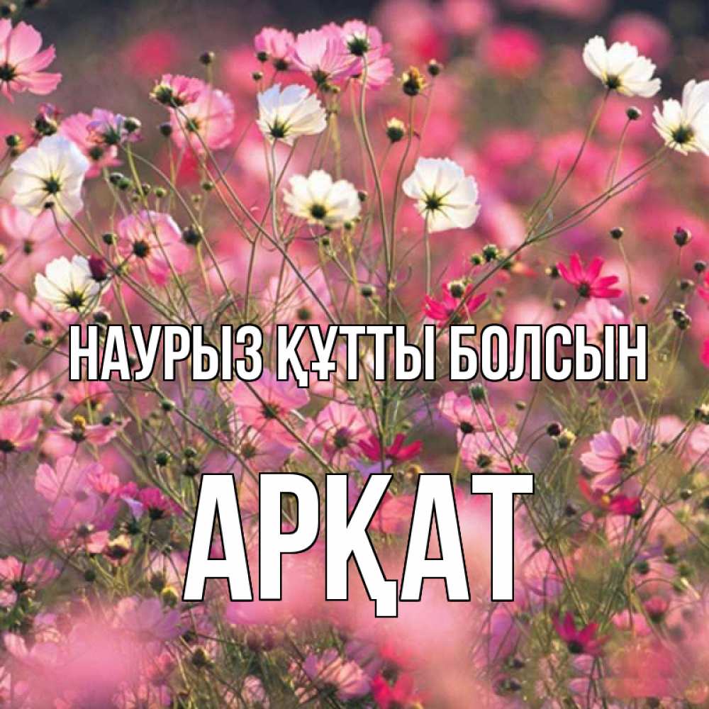 Күн сайын ашық хат с именем, Арқат Наурыз құтты болсын красиво 1 Онлайн тегін жүктеп алу тілектері бар керемет карта 