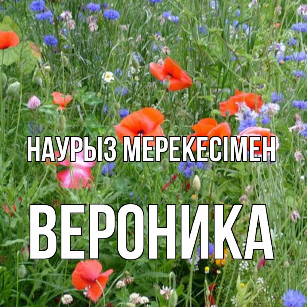 Күн сайын ашық хат с именем, Вероника Наурыз мерекесімен праздник весны наурыз супер открытка Онлайн тегін жүктеп алу тілектері бар керемет карта 