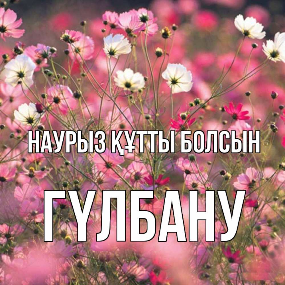 Күн сайын ашық хат с именем, ГҮЛБАНУ Наурыз құтты болсын красиво 1 Онлайн тегін жүктеп алу тілектері бар керемет карта 