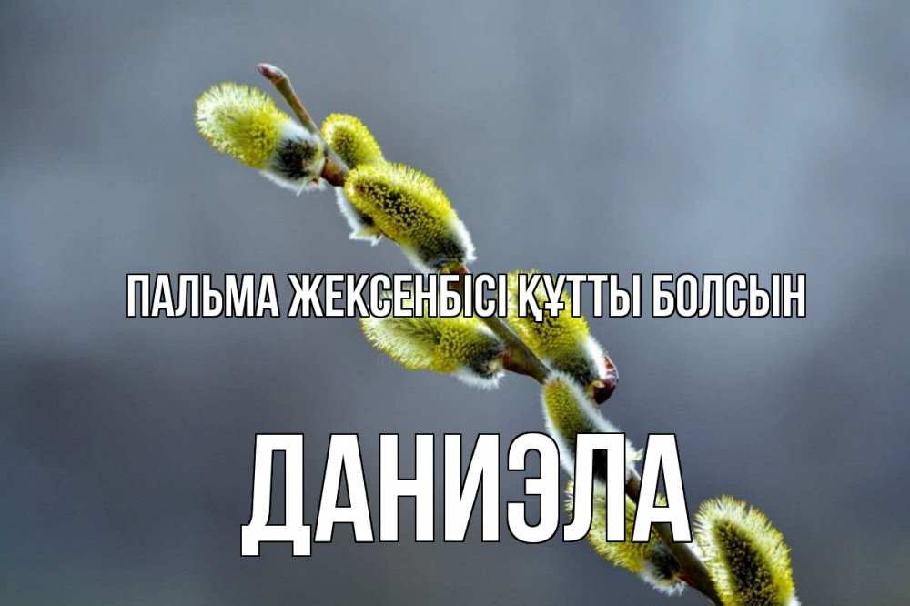 Күн сайын ашық хат с именем, Даниэла Пальма жексенбісі құтты болсын верба Онлайн тегін жүктеп алу тілектері бар керемет карта 