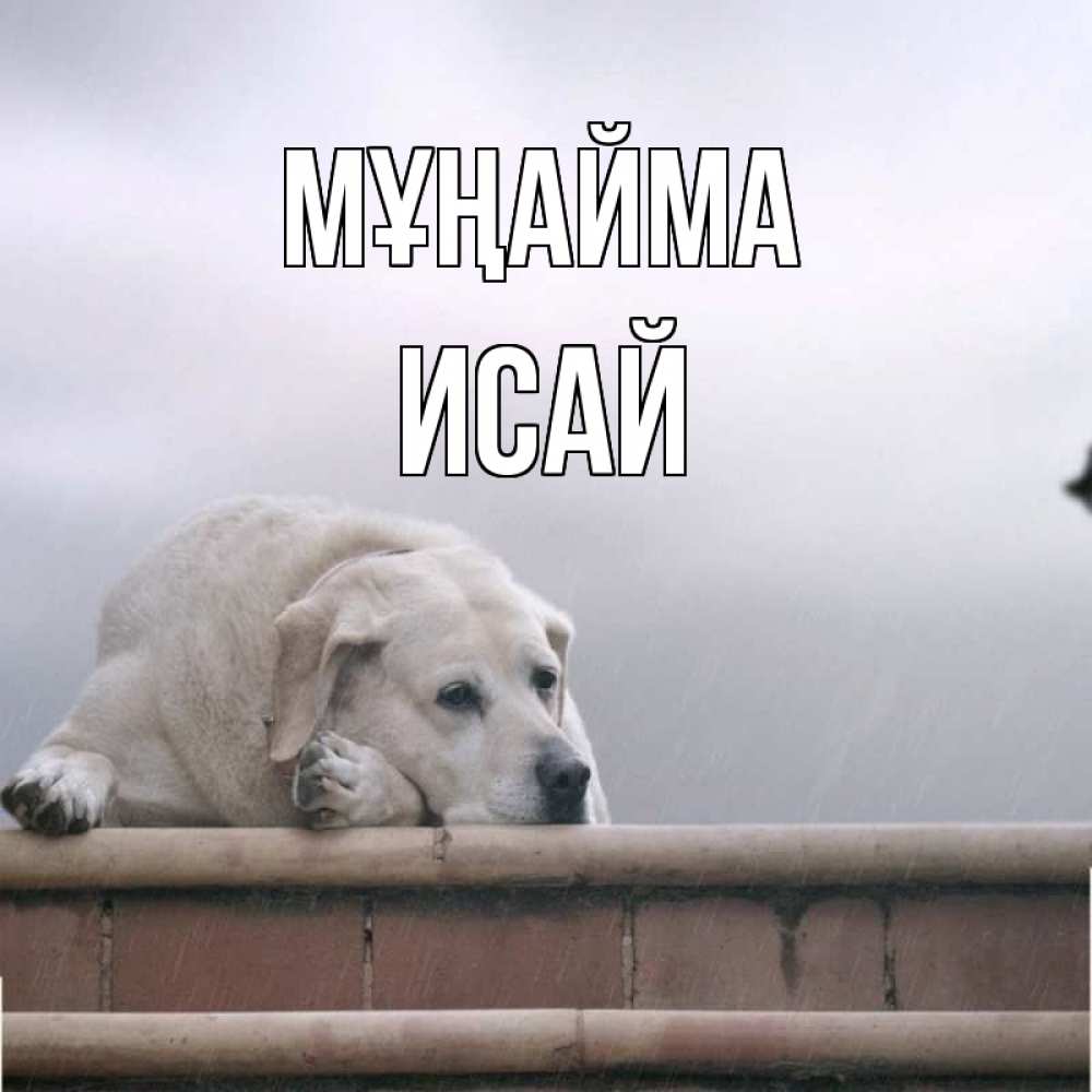 Күн сайын ашық хат с именем, Исай Мұңайма белый пес 1 Онлайн тегін жүктеп алу тілектері бар керемет карта 