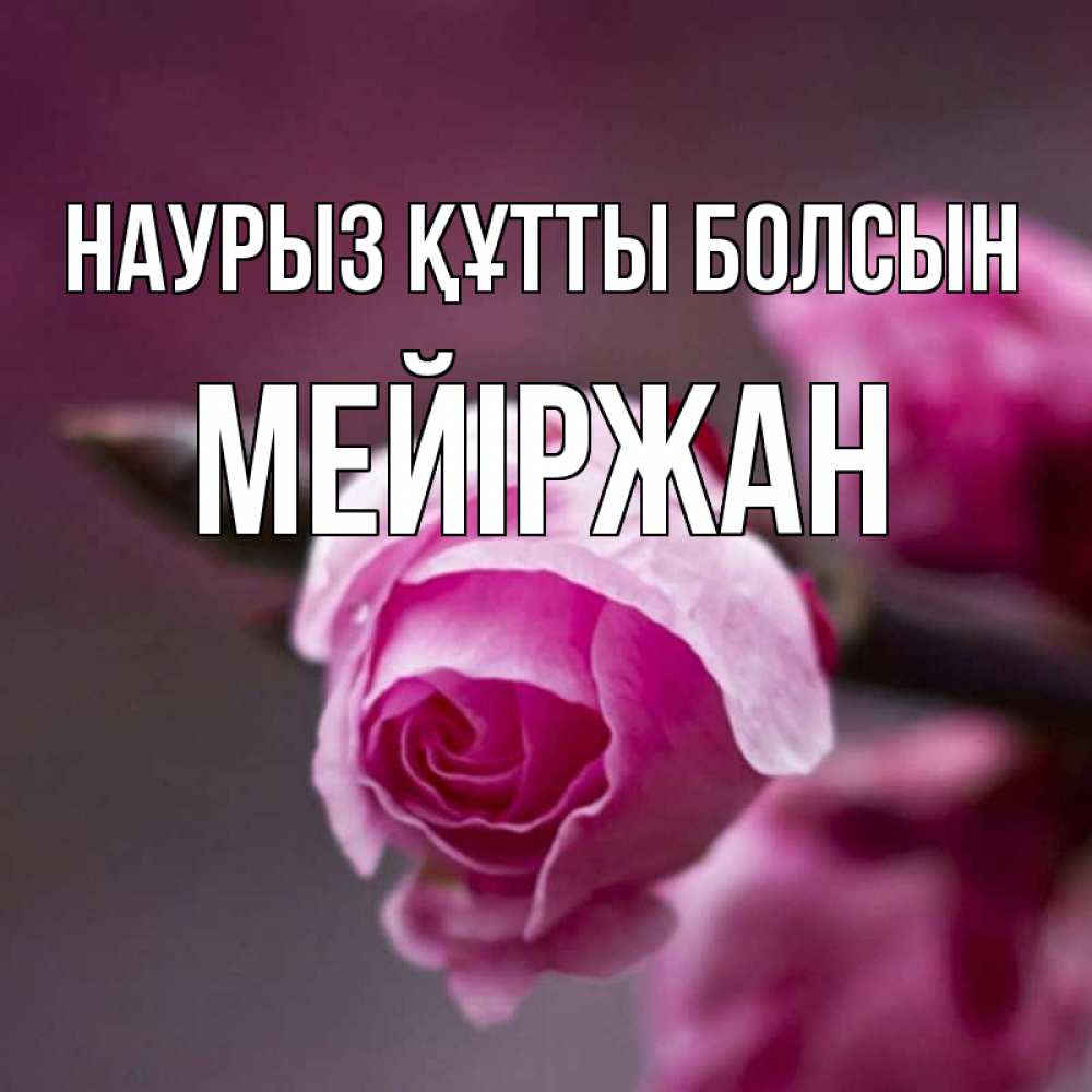 Күн сайын ашық хат с именем, МЕЙІРЖАН Наурыз құтты болсын весна Онлайн тегін жүктеп алу тілектері бар керемет карта 