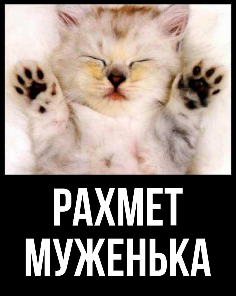 Күн сайын ашық хат с именем, Муженька рахмет маленький котенок Онлайн тегін жүктеп алу тілектері бар керемет карта 