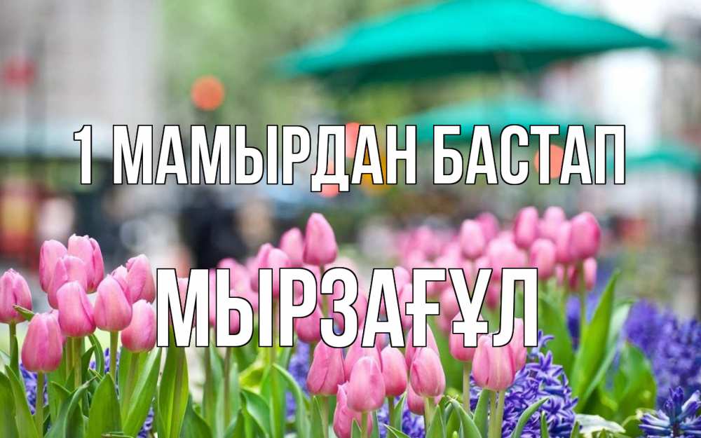 Күн сайын ашық хат с именем, Мырзағұл 1 мамырдан бастап С 1 мая Онлайн тегін жүктеп алу тілектері бар керемет карта 