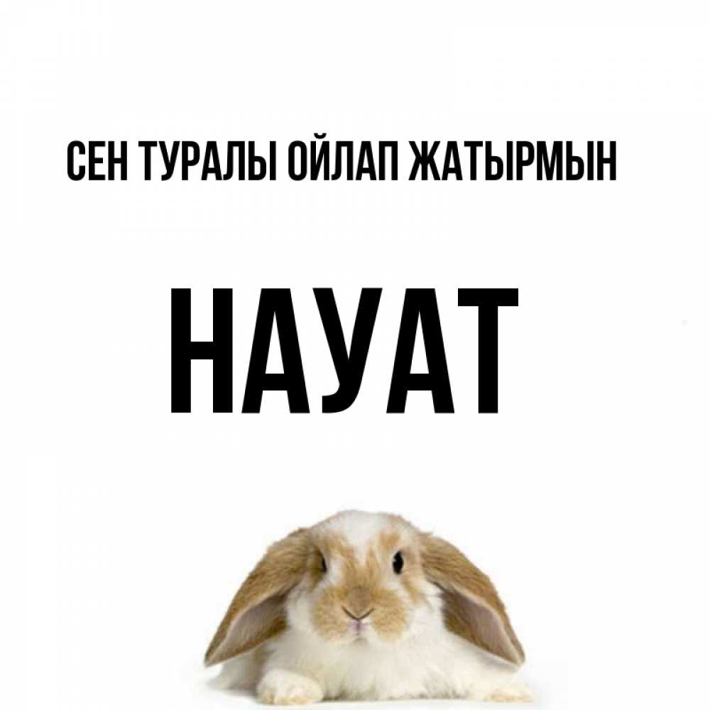 Күн сайын ашық хат с именем, НАУАТ Сен туралы ойлап жатырмын подписать своими руками онлайн Онлайн тегін жүктеп алу тілектері бар керемет карта 