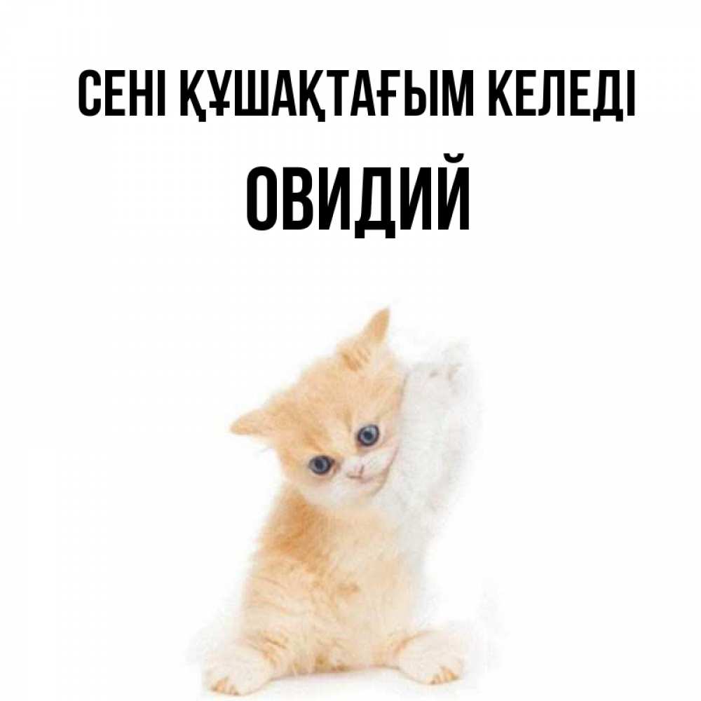 Күн сайын ашық хат с именем, Овидий сені құшақтағым келеді я хочу очень скорее обнимаешек Онлайн тегін жүктеп алу тілектері бар керемет карта 