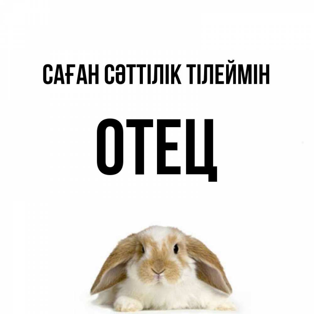 Күн сайын ашық хат с именем, Отец Саған сәттілік тілеймін открытки с произвольным текстом который можно вставить в открытку и создать ее самостоятельно бесплатно онлайн Онлайн тегін жүктеп алу тілектері бар керемет карта 