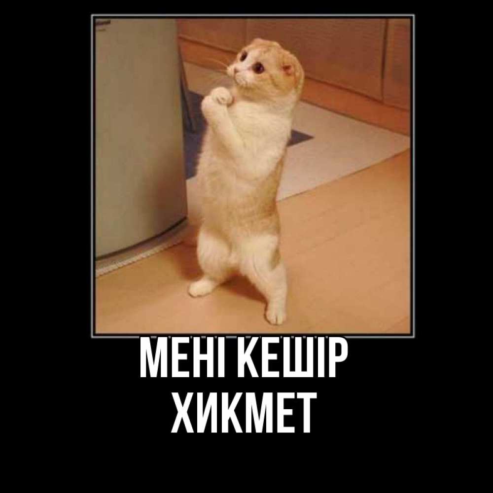 Күн сайын ашық хат с именем, ХИКМЕТ Мені кешір открытка с милым несчастным котиком просящим прощения Онлайн тегін жүктеп алу тілектері бар керемет карта 