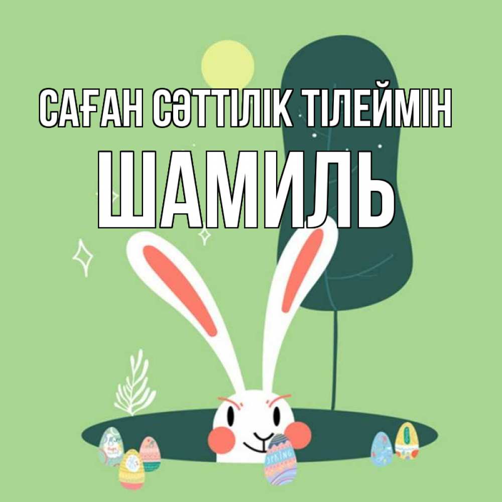 Күн сайын ашық хат с именем, Шамиль Саған сәттілік тілеймін заяц Онлайн тегін жүктеп алу тілектері бар керемет карта 