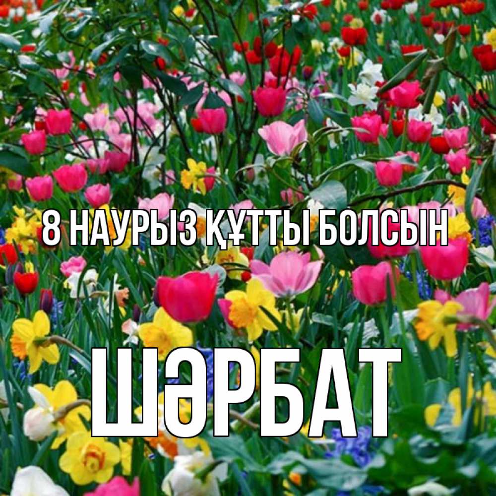 Күн сайын ашық хат с именем, ШӘРБАТ 8 наурыз құтты болсын с международным женским днем поздравления для женщины Онлайн тегін жүктеп алу тілектері бар керемет карта 