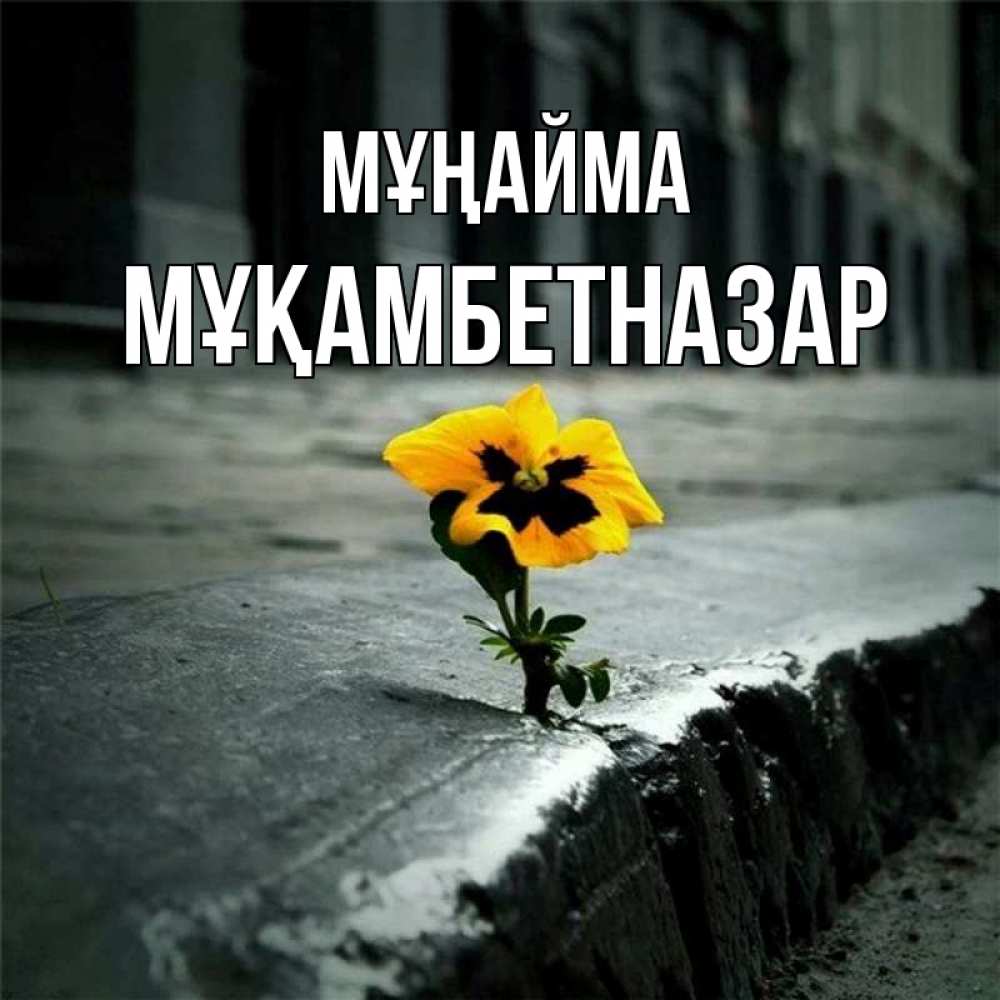 Күн сайын ашық хат с именем, Мұқамбетназар Мұңайма не сдавайся Онлайн тегін жүктеп алу тілектері бар керемет карта 