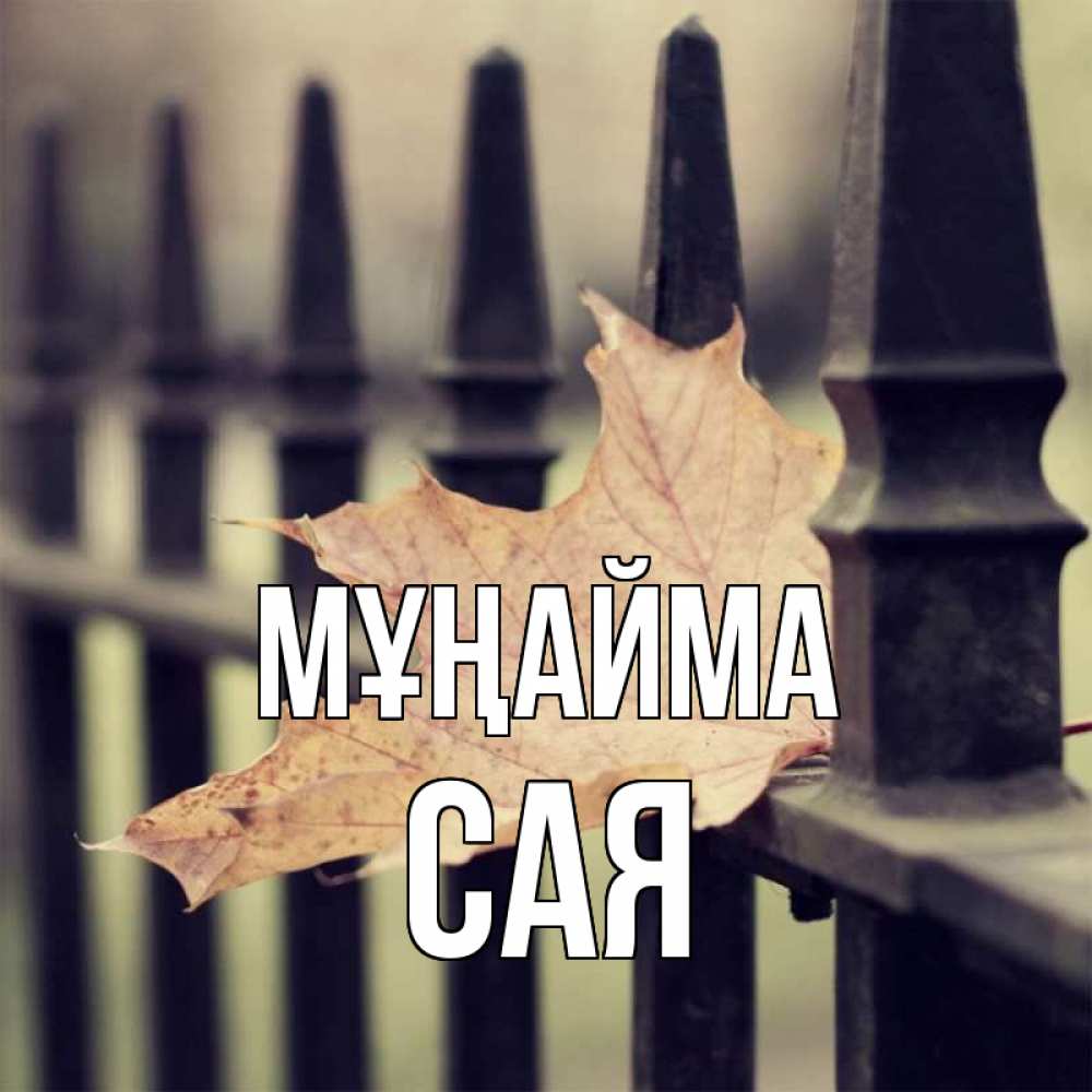 Күн сайын ашық хат с именем, САЯ Мұңайма лист клена Онлайн тегін жүктеп алу тілектері бар керемет карта 