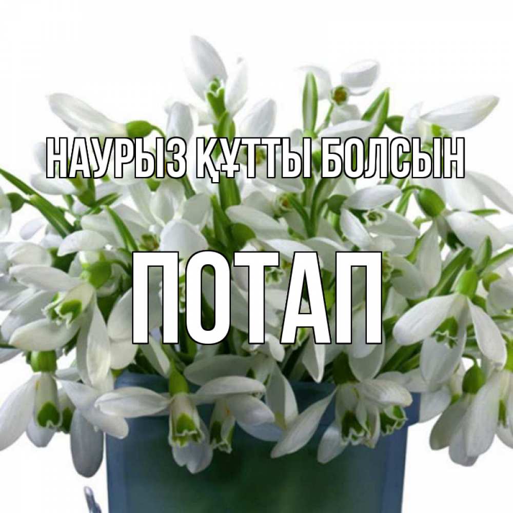 Күн сайын ашық хат с именем, Потап Наурыз құтты болсын цветы к наурызу Онлайн тегін жүктеп алу тілектері бар керемет карта 
