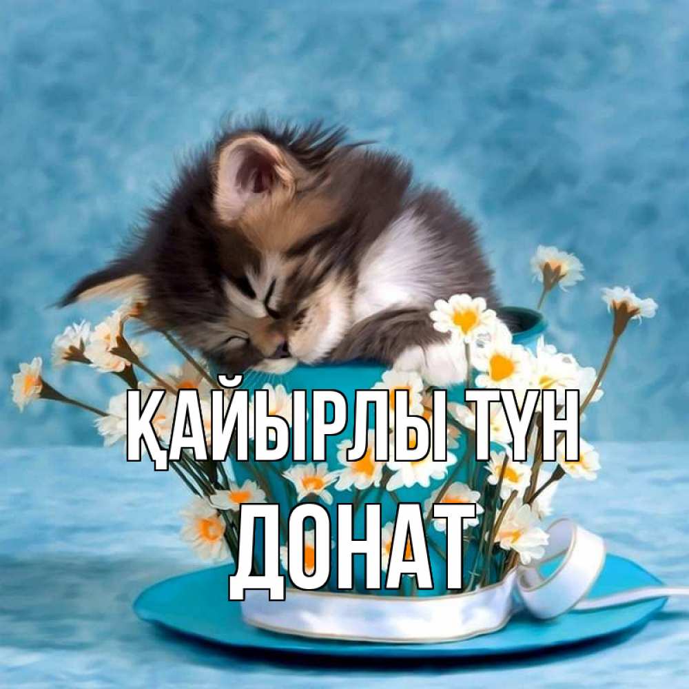 Күн сайын ашық хат с именем, Донат Қайырлы түн котенок спит в кружке с блюдцем Онлайн тегін жүктеп алу тілектері бар керемет карта 