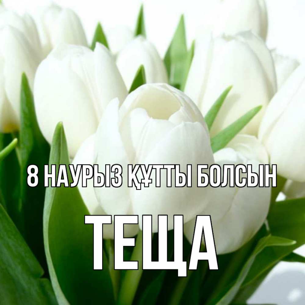 Күн сайын ашық хат с именем, Теща 8 наурыз құтты болсын цветы Онлайн тегін жүктеп алу тілектері бар керемет карта 