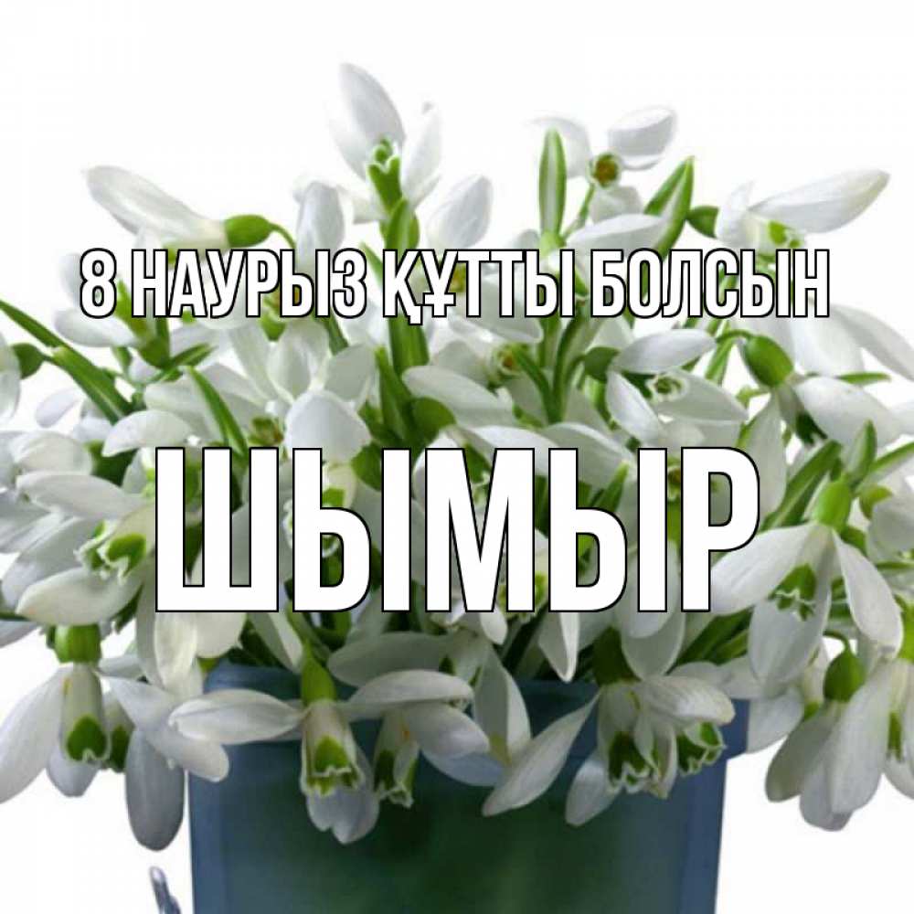 Күн сайын ашық хат с именем, ШЫМЫР 8 наурыз құтты болсын цветы к международному женскому дню Онлайн тегін жүктеп алу тілектері бар керемет карта 