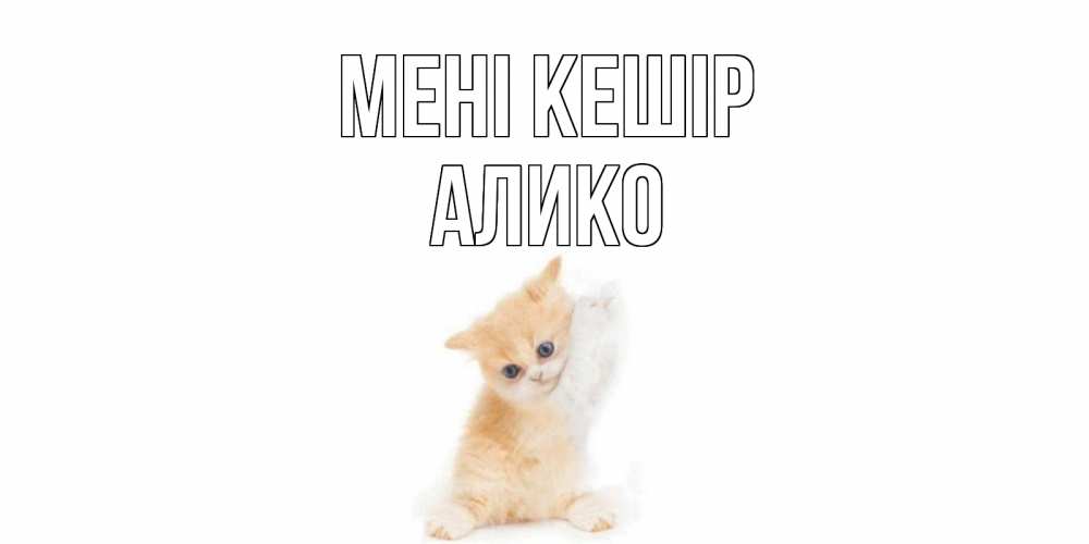 Күн сайын ашық хат с именем, Алико Мені кешір кот Онлайн тегін жүктеп алу тілектері бар керемет карта 