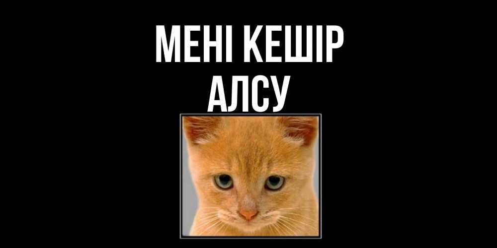 Күн сайын ашық хат с именем, Алсу Мені кешір рыжий грустный кот просит прощения Онлайн тегін жүктеп алу тілектері бар керемет карта 