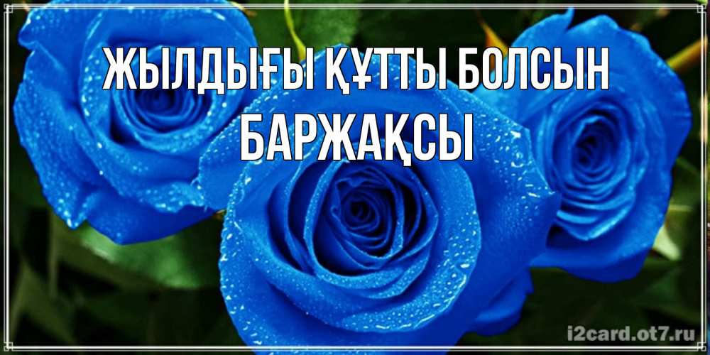 Күн сайын ашық хат с именем, Баржақсы Жылдығы құтты болсын розы с синим цветом Онлайн тегін жүктеп алу тілектері бар керемет карта 