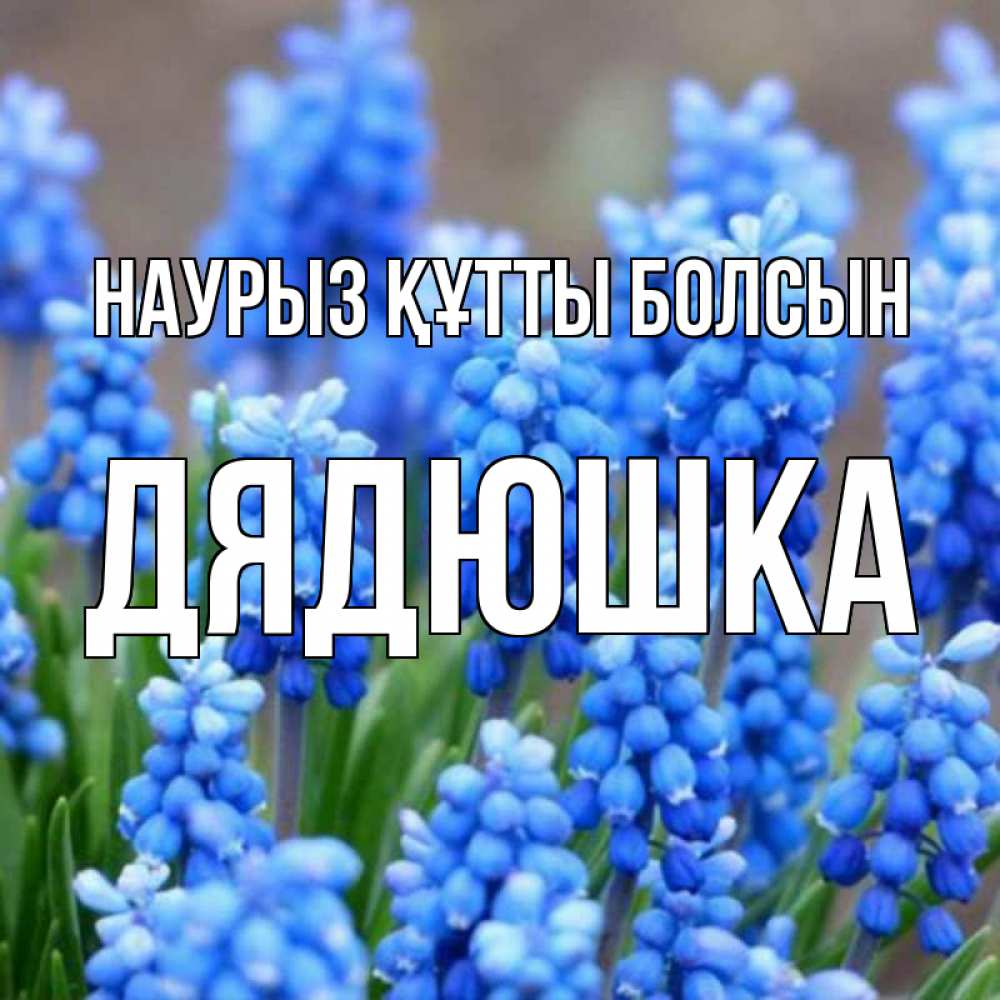 Күн сайын ашық хат с именем, Дядюшка Наурыз құтты болсын Поздравительная открытка для женщин с цветами на праздничную дату Онлайн тегін жүктеп алу тілектері бар керемет карта 