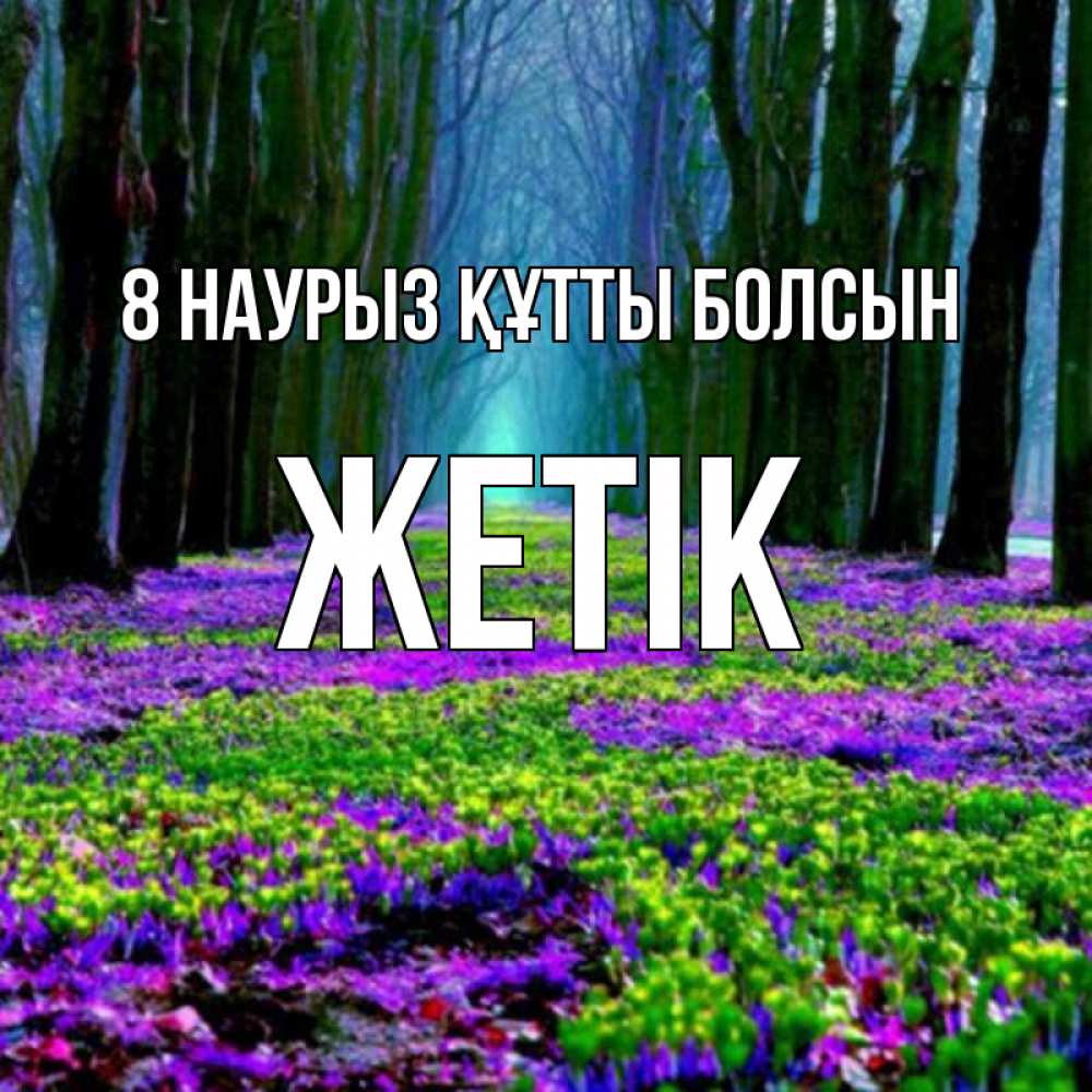 Күн сайын ашық хат с именем, Жетік 8 наурыз құтты болсын фиолетовые цветы в лесу 1 Онлайн тегін жүктеп алу тілектері бар керемет карта 