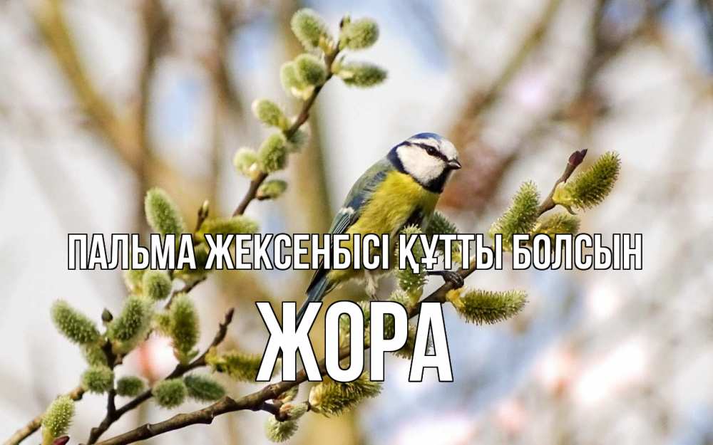 Күн сайын ашық хат с именем, Жора Пальма жексенбісі құтты болсын верба Онлайн тегін жүктеп алу тілектері бар керемет карта 