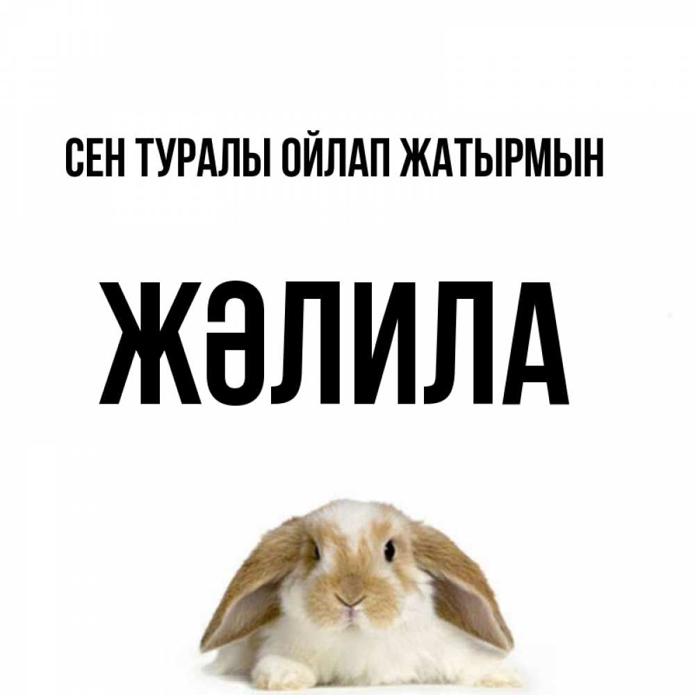 Күн сайын ашық хат с именем, ЖӘЛИЛА Сен туралы ойлап жатырмын подписать своими руками онлайн Онлайн тегін жүктеп алу тілектері бар керемет карта 