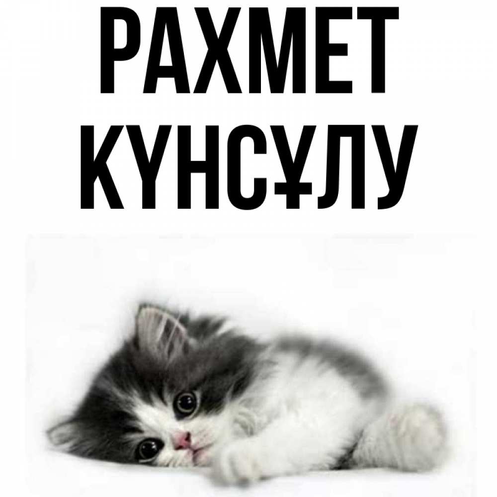 Күн сайын ашық хат с именем, КҮНСҰЛУ рахмет черный и белый кот Онлайн тегін жүктеп алу тілектері бар керемет карта 