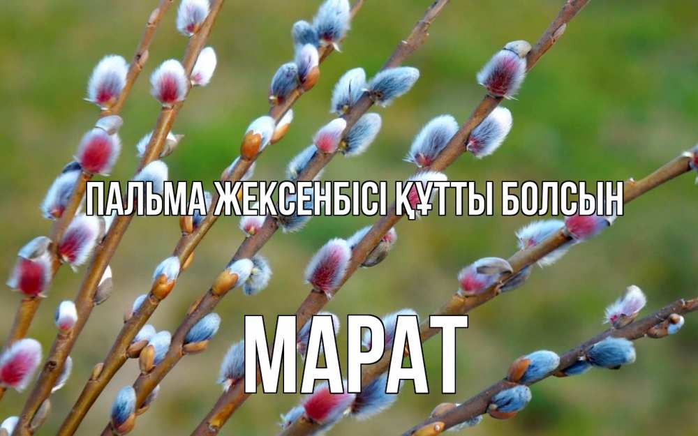 Күн сайын ашық хат с именем, МАРАТ Пальма жексенбісі құтты болсын верба Онлайн тегін жүктеп алу тілектері бар керемет карта 