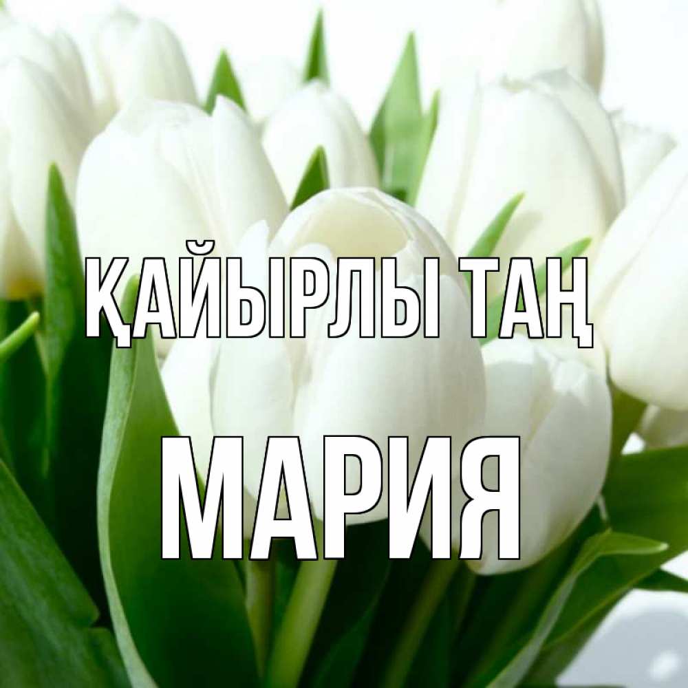 Күн сайын ашық хат с именем, МАРИЯ Қайырлы таң открытки на каждый день по именам Онлайн тегін жүктеп алу тілектері бар керемет карта 