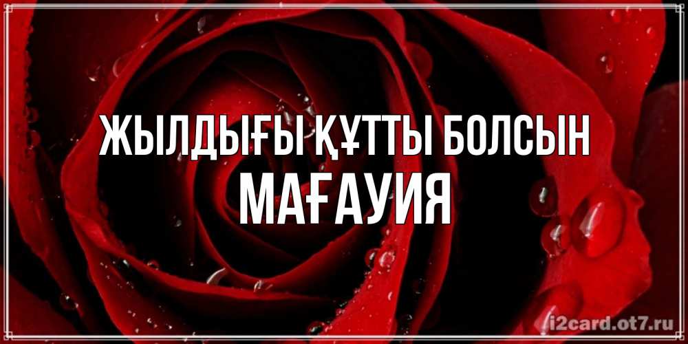 Күн сайын ашық хат с именем, МАҒАУИЯ Жылдығы құтты болсын крупная бордовая роза Онлайн тегін жүктеп алу тілектері бар керемет карта 