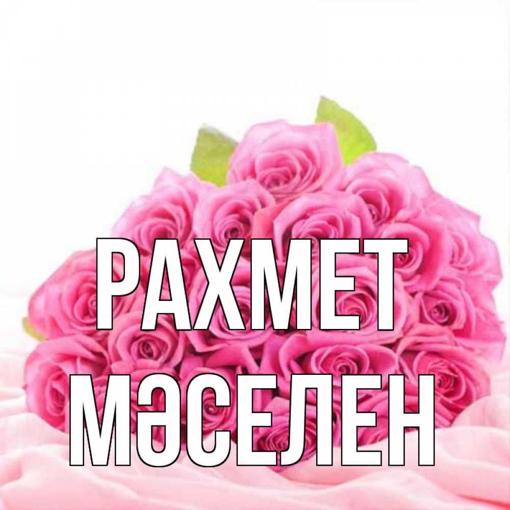 Күн сайын ашық хат с именем, Мәселен рахмет розовые розы с подписью Онлайн тегін жүктеп алу тілектері бар керемет карта 