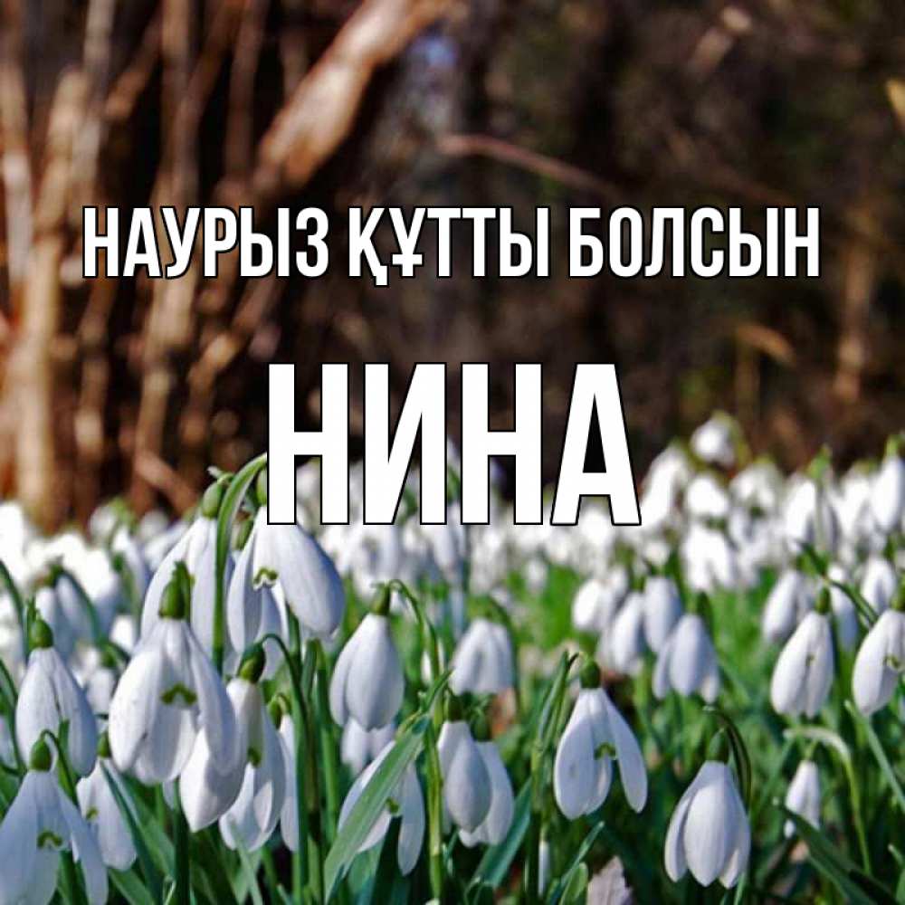 Күн сайын ашық хат с именем, Нина Наурыз құтты болсын с подснежниками 1 Онлайн тегін жүктеп алу тілектері бар керемет карта 