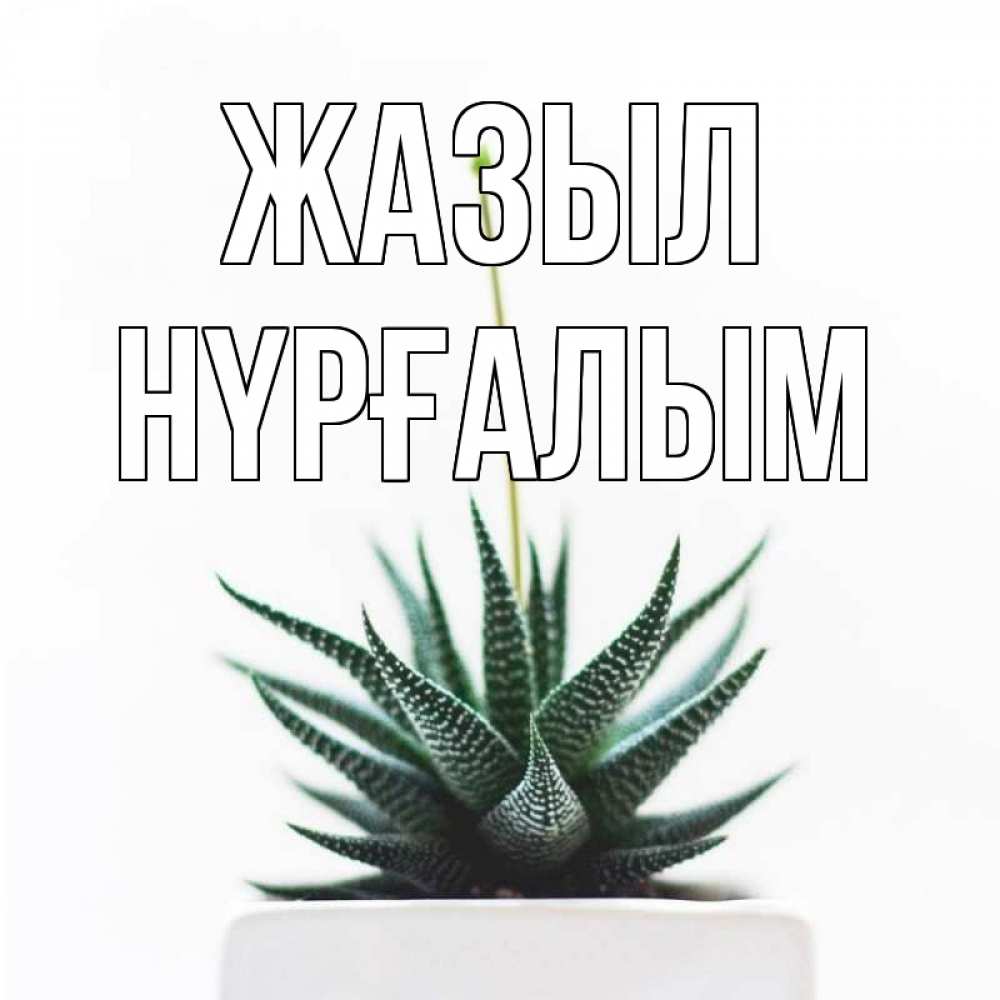 Күн сайын ашық хат с именем, НҮРҒАЛЫМ Жазыл короче это непонятная колючка Онлайн тегін жүктеп алу тілектері бар керемет карта 