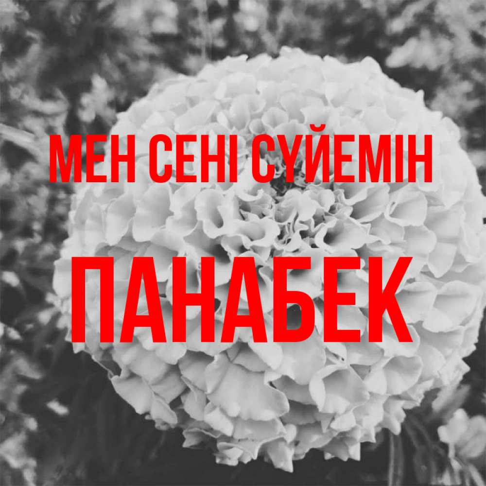 Күн сайын ашық хат с именем, ПАНАБЕК Мен сені сүйемін подпись Онлайн тегін жүктеп алу тілектері бар керемет карта 