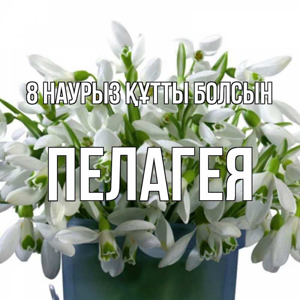 Күн сайын ашық хат с именем, Пелагея 8 наурыз құтты болсын цветы к международному женскому дню Онлайн тегін жүктеп алу тілектері бар керемет карта 