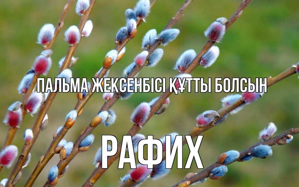 Күн сайын ашық хат с именем, РАФИХ Пальма жексенбісі құтты болсын верба Онлайн тегін жүктеп алу тілектері бар керемет карта 